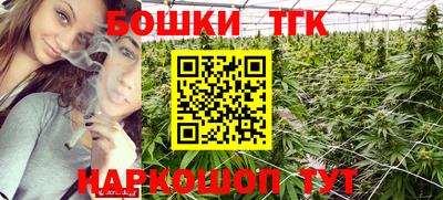 соль ск Новодвинск